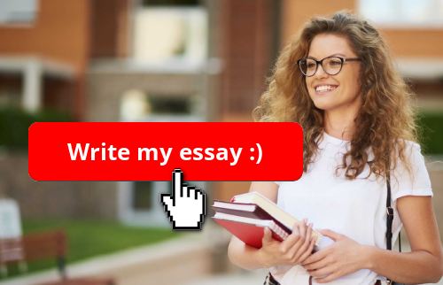 Essayhave.com Essay writing service banner